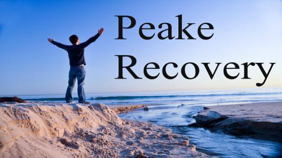 Peake Recovery in Roseville MI